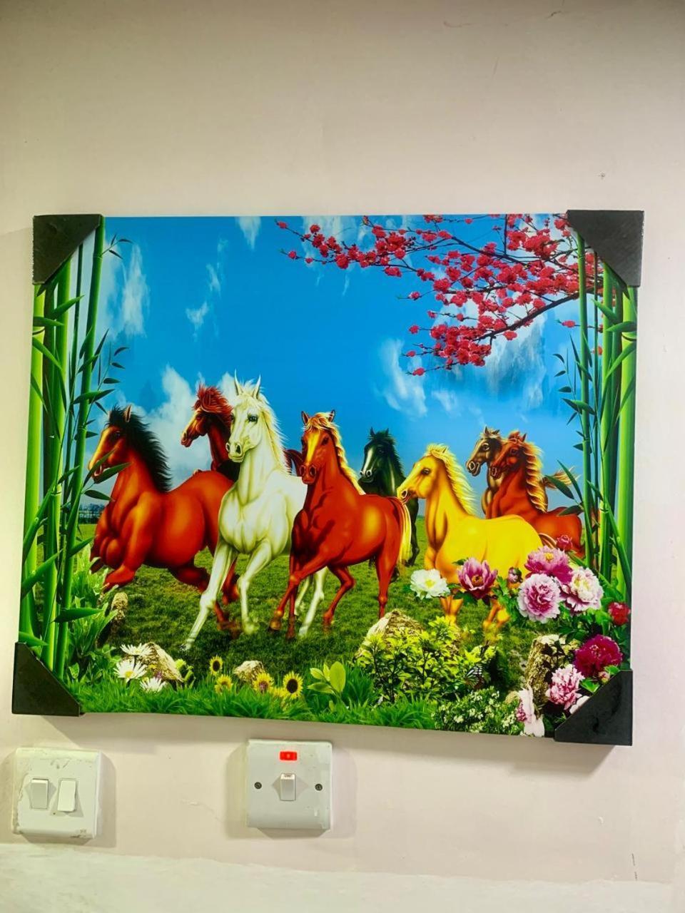 Harmony Homestay Abu Dhabi